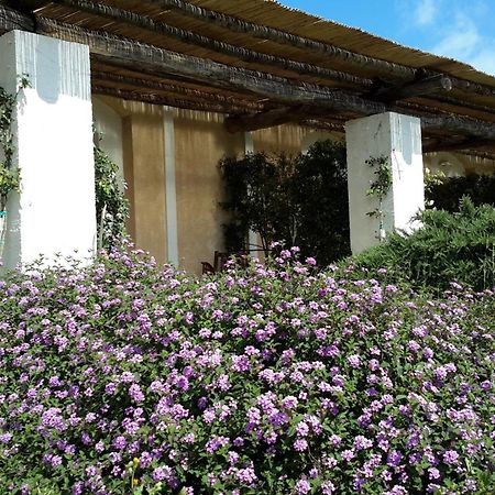Masseria L'Antico Frantoio Gallipoli Esterno foto