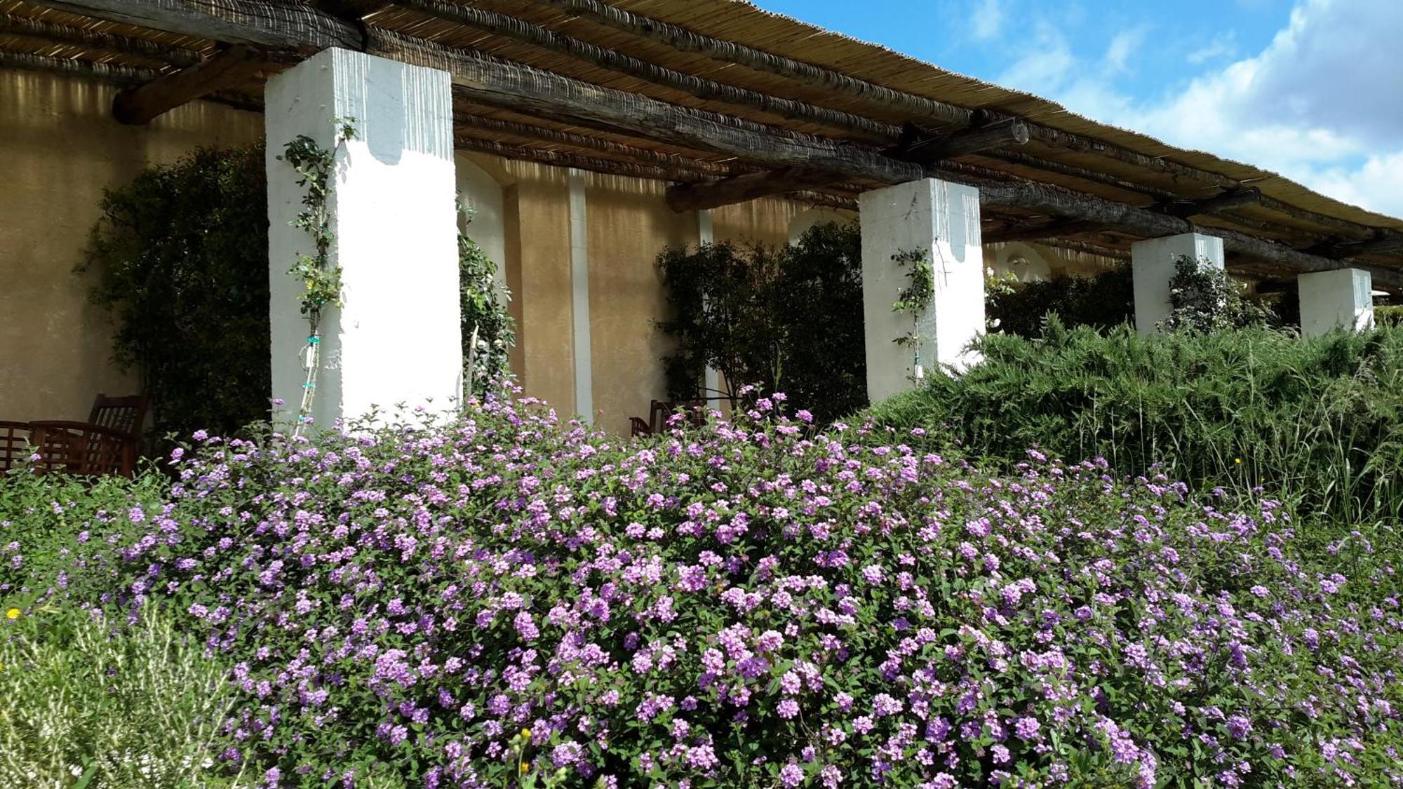 Masseria L'Antico Frantoio Gallipoli Esterno foto