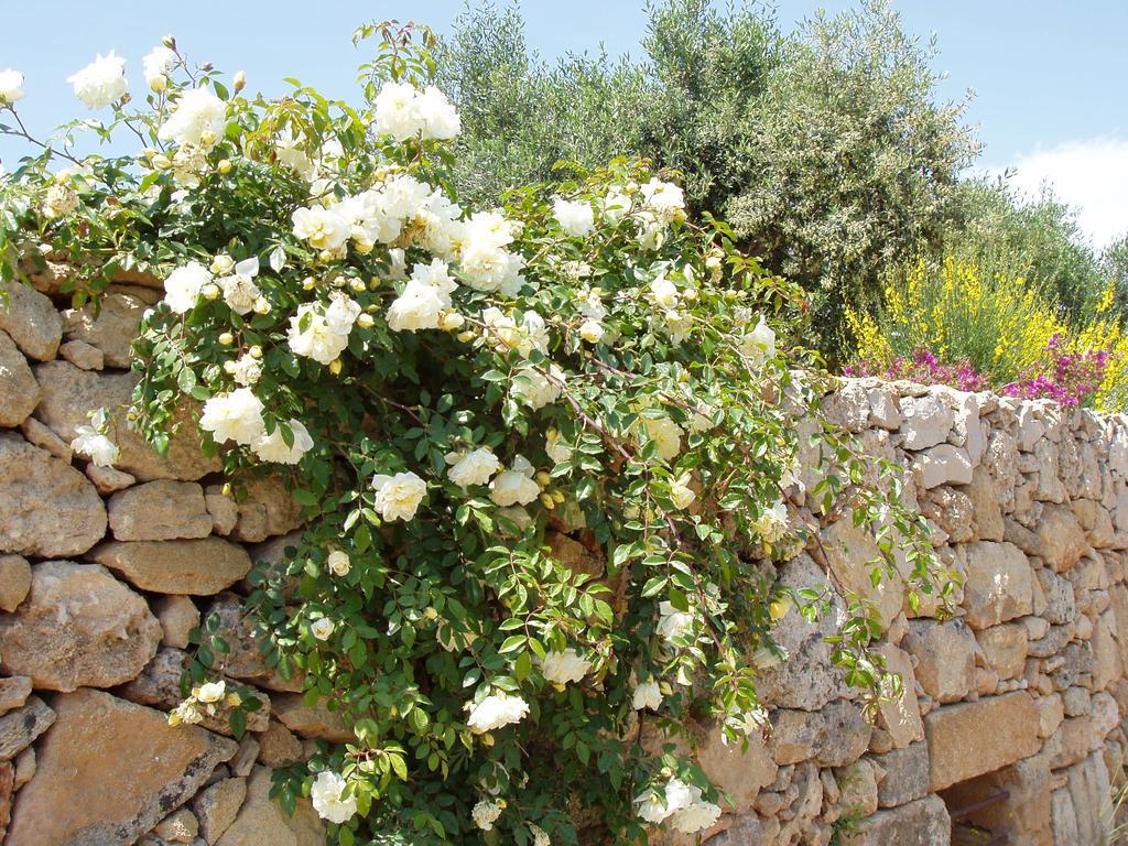 Masseria L'Antico Frantoio Gallipoli Esterno foto